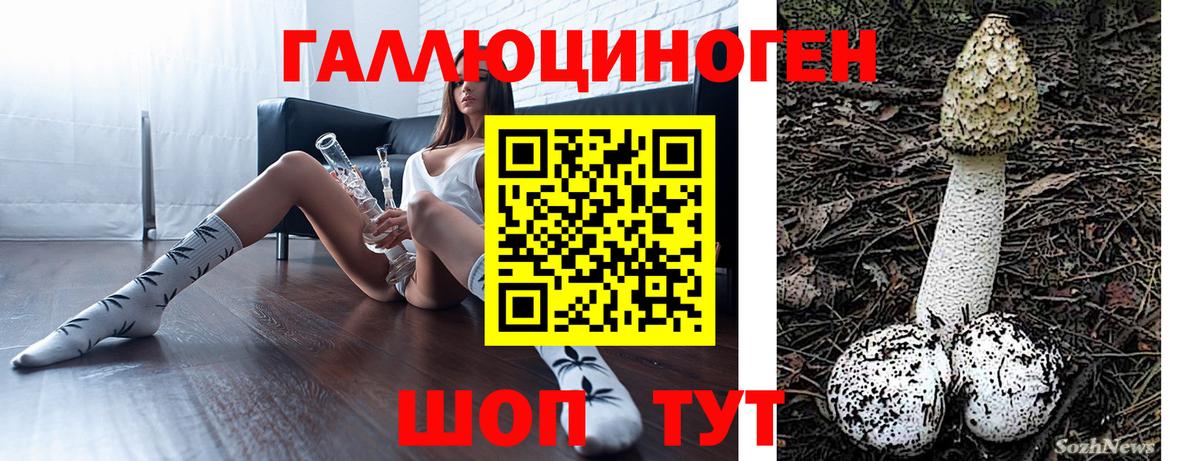 Псилоцибиновые грибы Magic Shrooms  Вход с VPN  Куйбышев  Псилоцибиновые грибы GOLDEN TEACHER 
